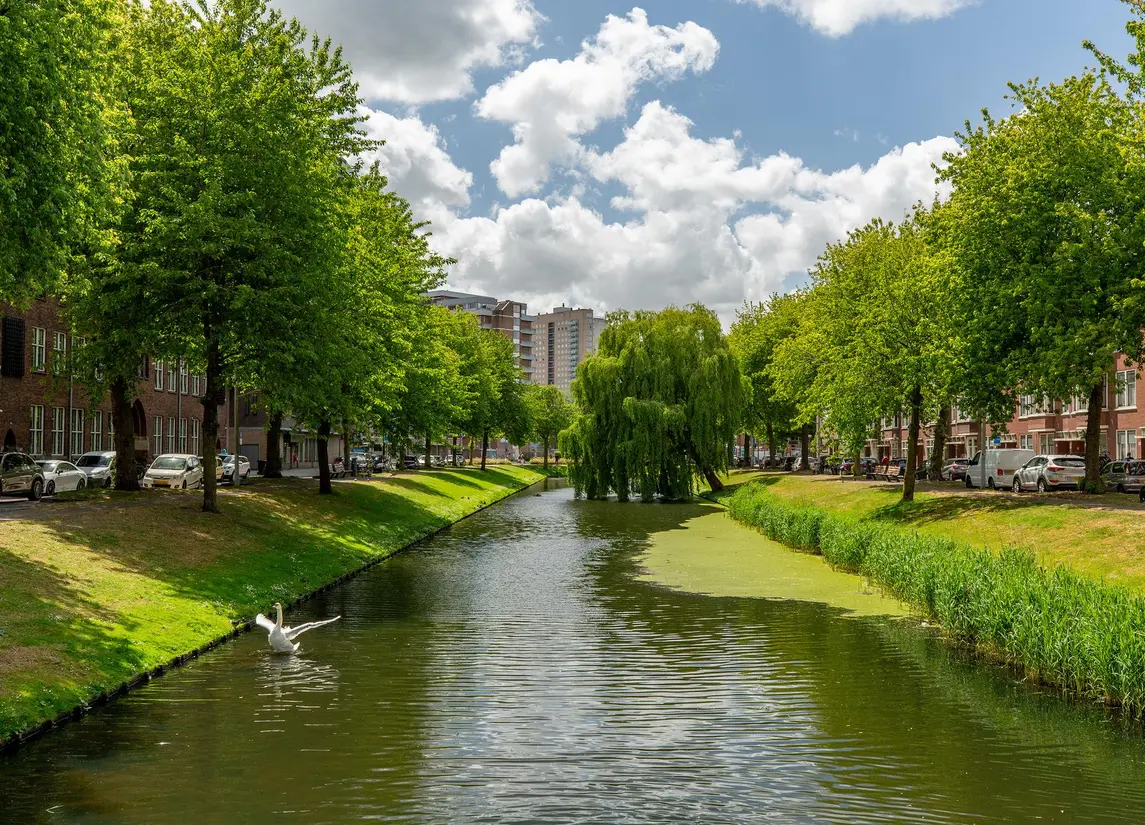 Boekweitstraat 33