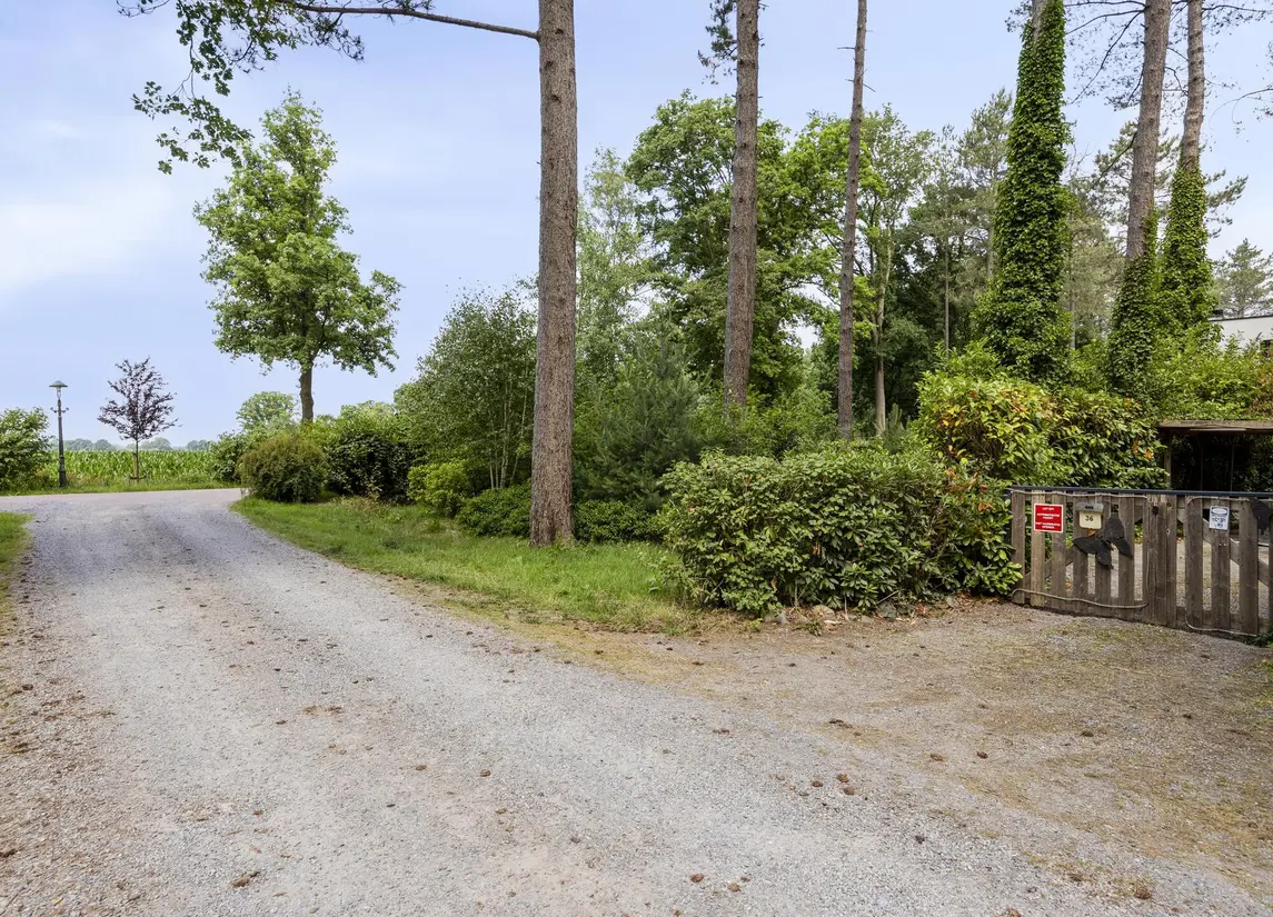 De Stille Wille 36