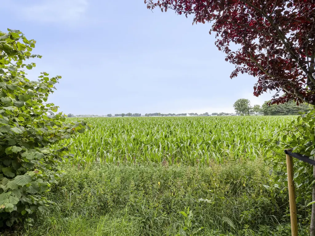 De Stille Wille 36, OOST WEST EN MIDDELBEERS
