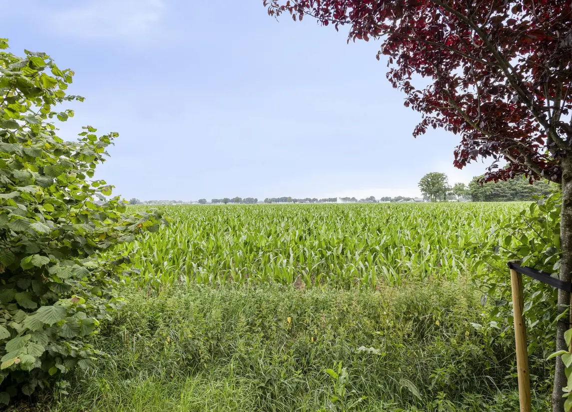 De Stille Wille 36