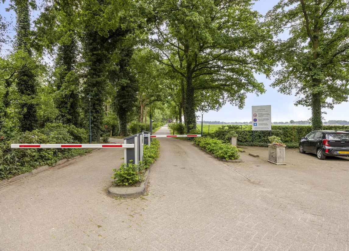 De Stille Wille 36