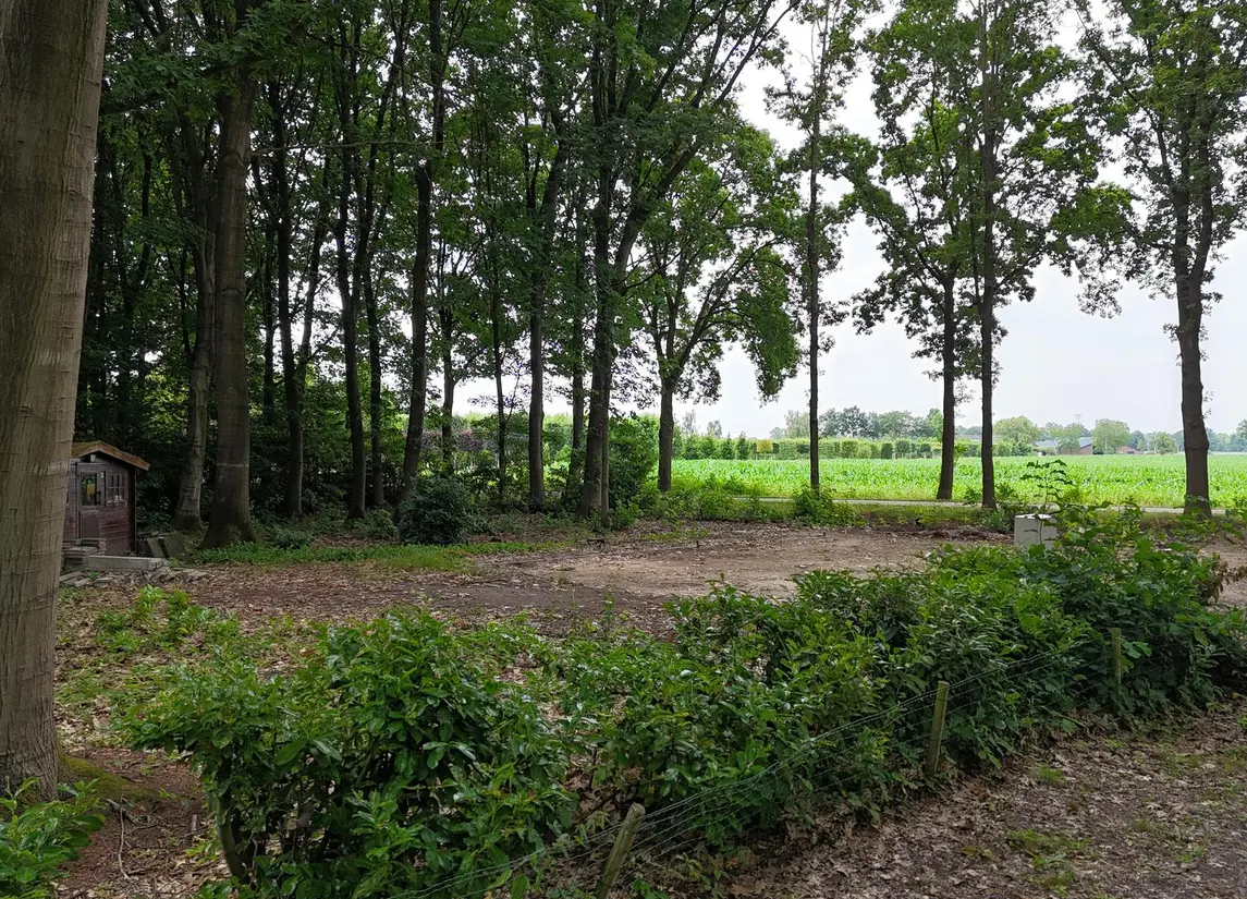 De Stille Wille 24