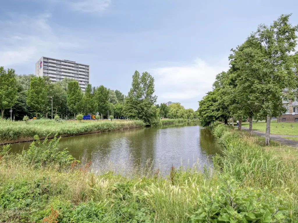 Schoutendreef 381, 'S-GRAVENHAGE