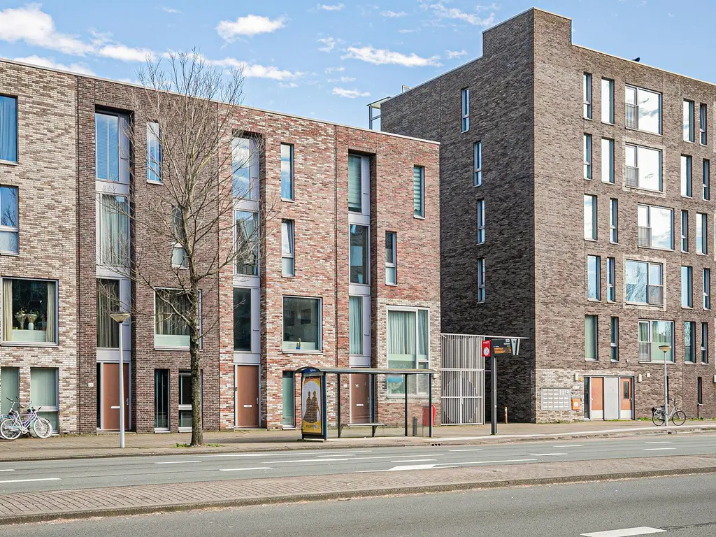 Bermuda 30, ZAANDAM