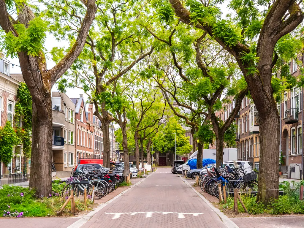 Blommersdijkselaan 38A, ROTTERDAM