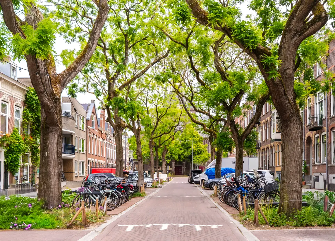 Blommersdijkselaan 38A