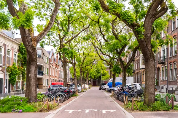 Blommersdijkselaan 38A
