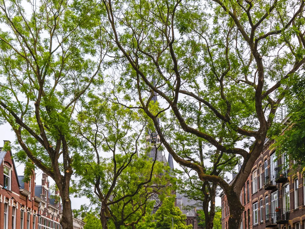 Blommersdijkselaan 38A, ROTTERDAM
