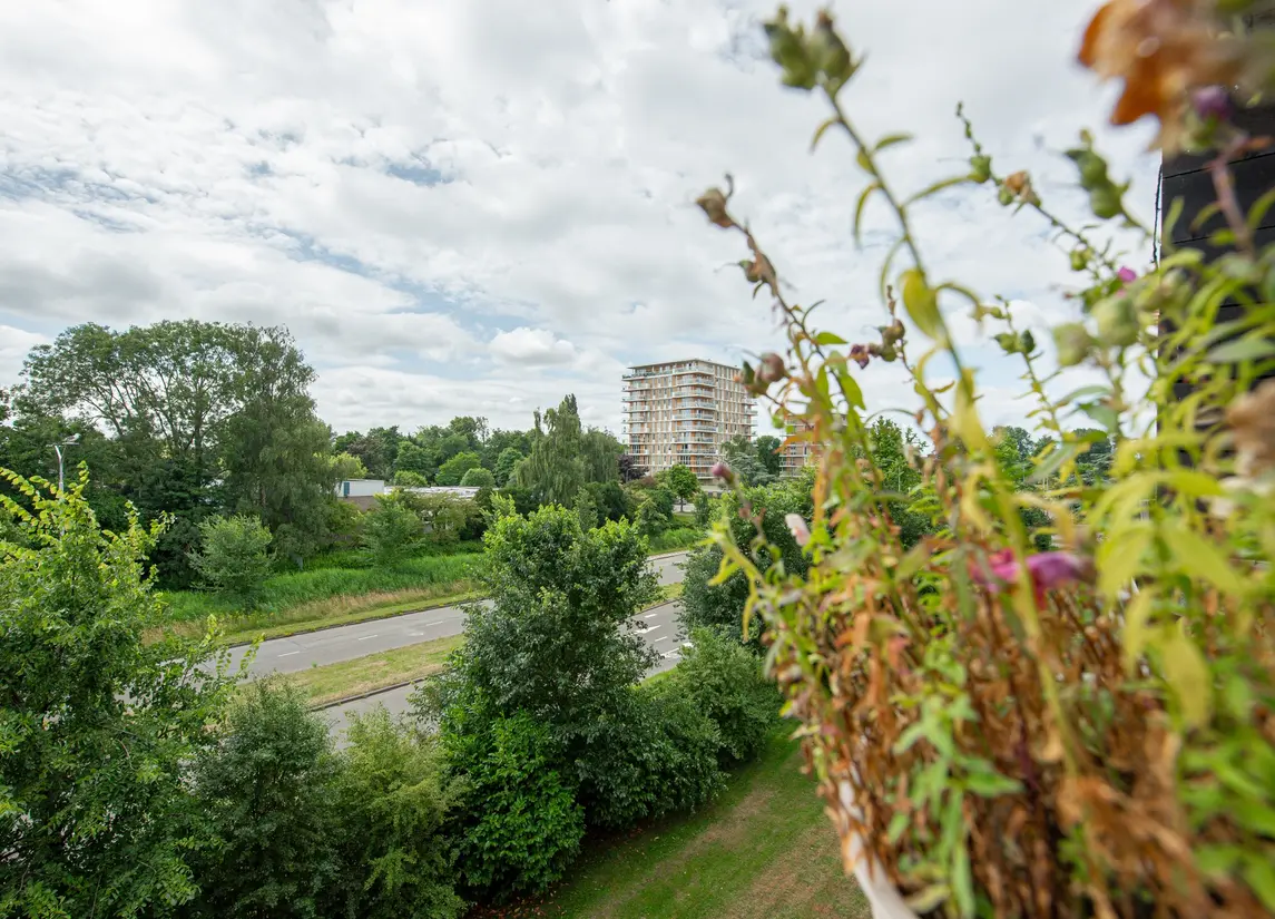 Gravin Juliana van Stolberglaan 243
