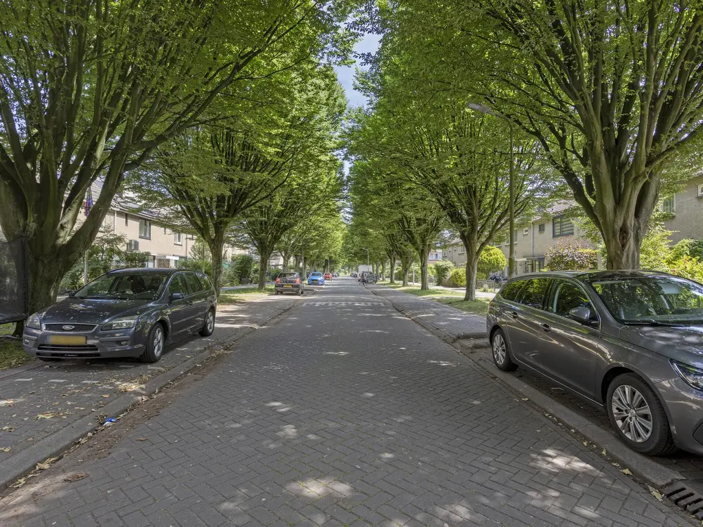 Botterlaan 17, ZAANDAM