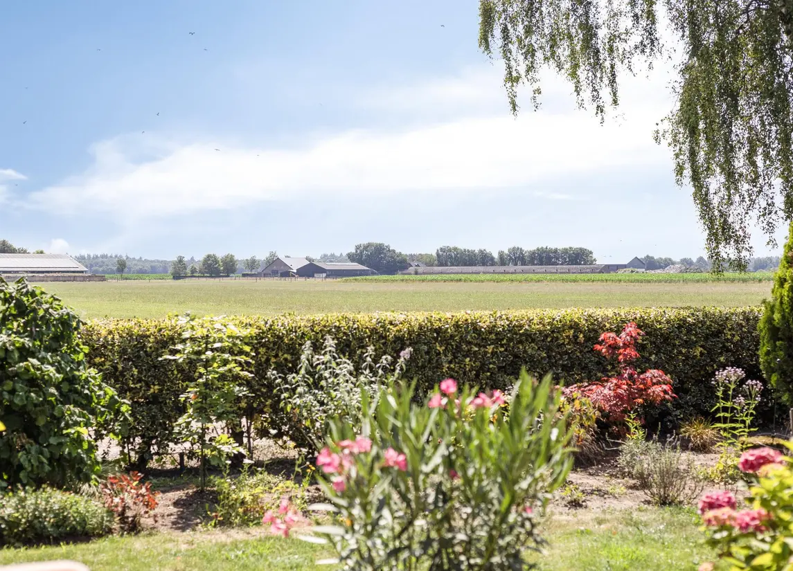 De Stille Wille 317