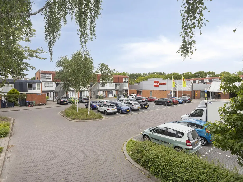 Drielse Wetering 39, ZAANDAM