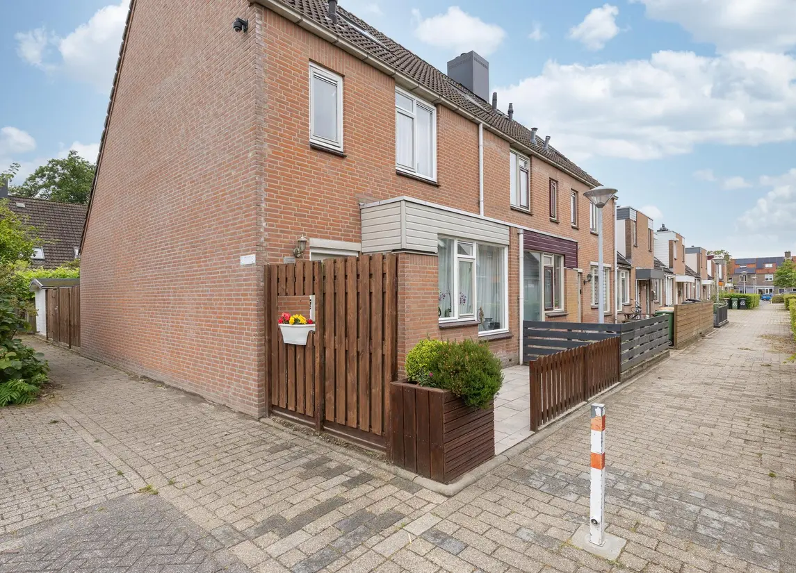 Paardebloem 73