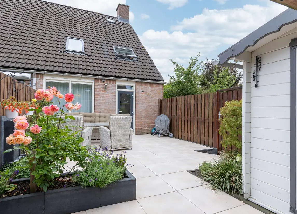 Paardebloem 73