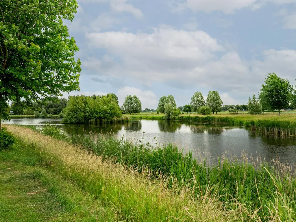 Zilvervloot 44, RHOON