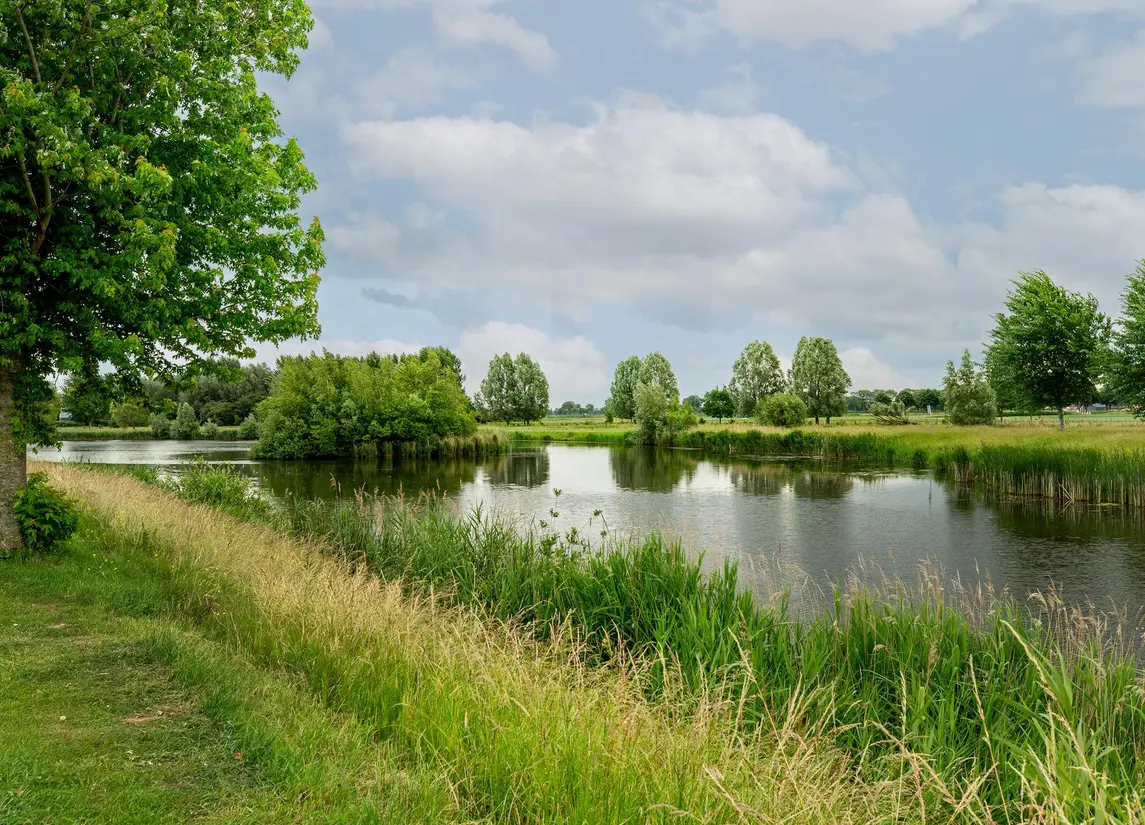Zilvervloot 44