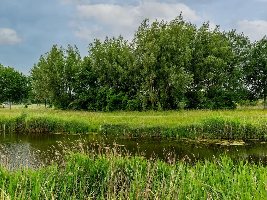 Zilvervloot 44, RHOON