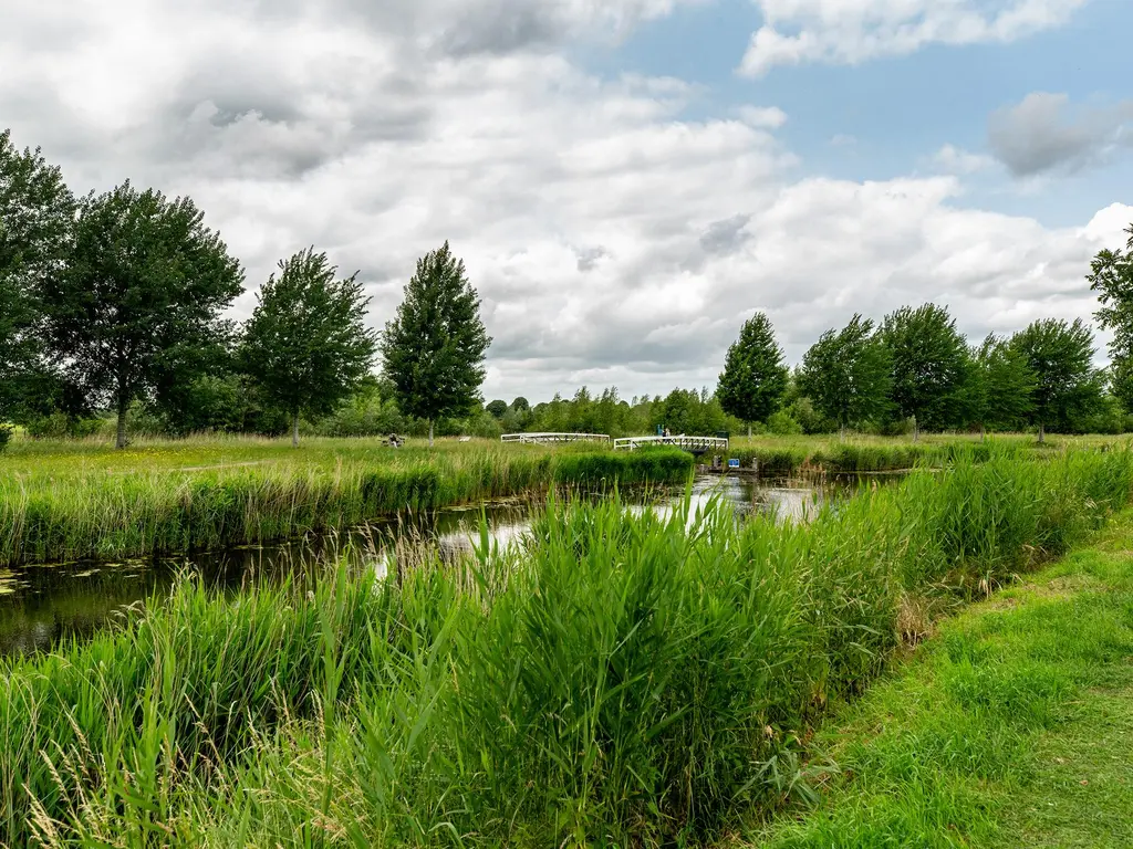 Zilvervloot 44, RHOON
