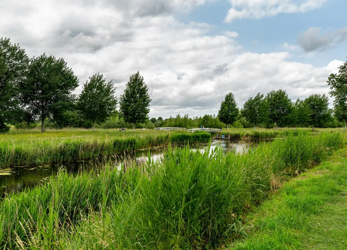 Zilvervloot 44