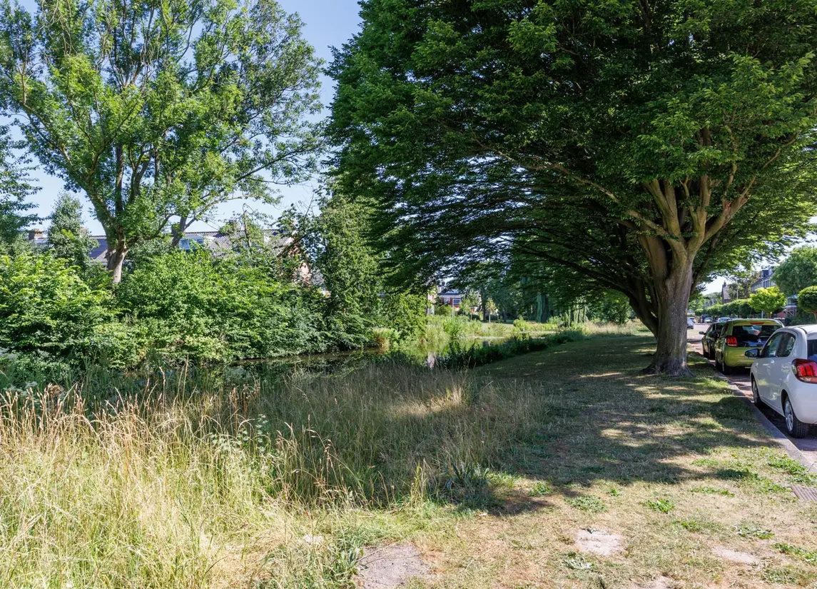 Zuilestein 9