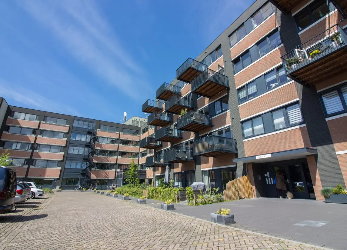 Zandsteen 17