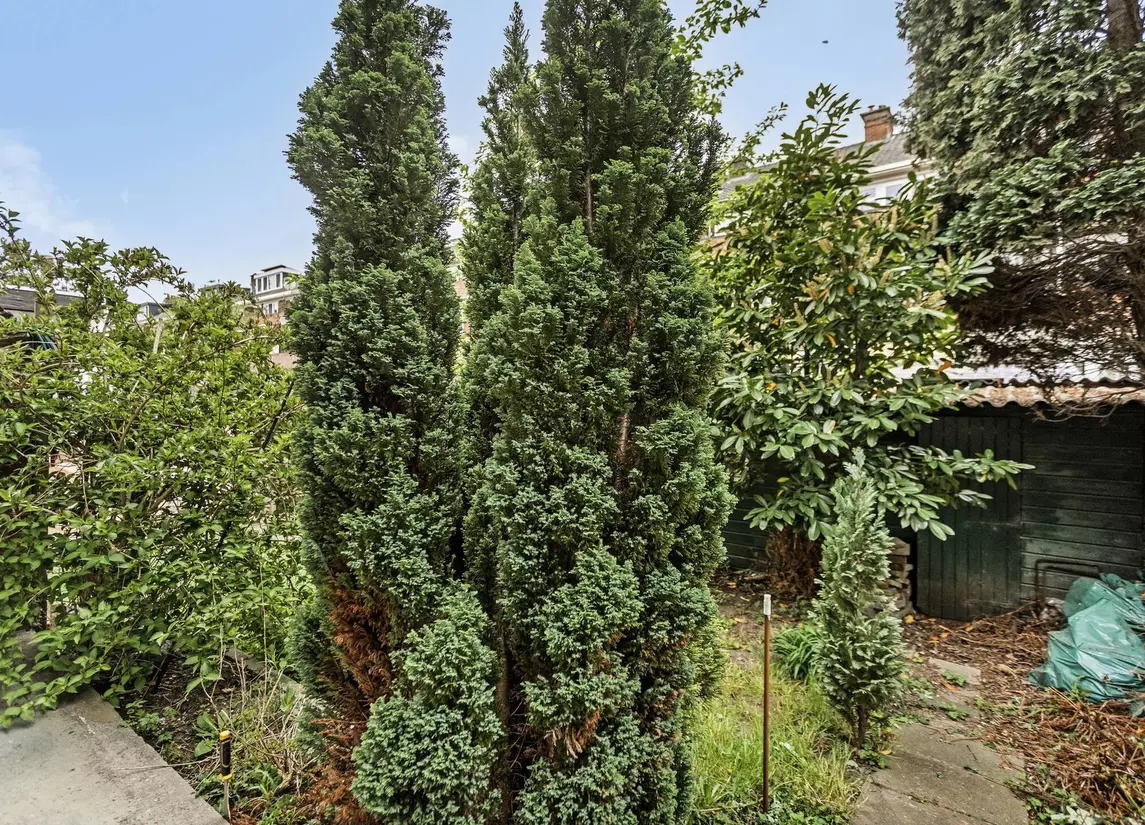 Grieksestraat 78A