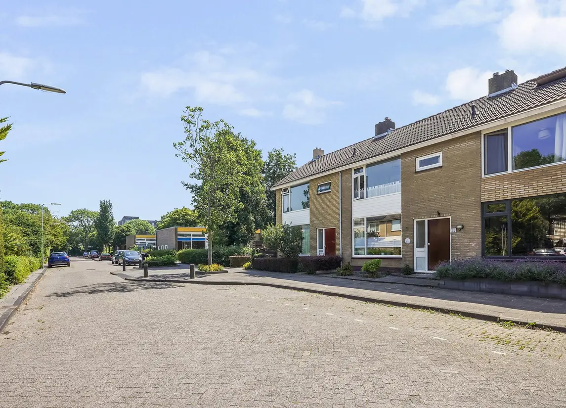 van Haemstedestraat 22