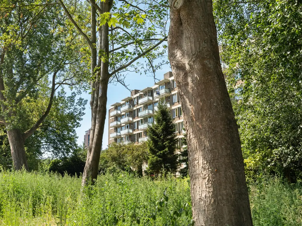 Van der Helmstraat 448, ROTTERDAM