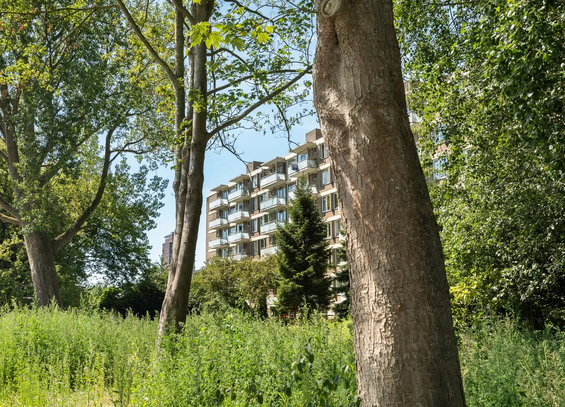 Van der Helmstraat 448
