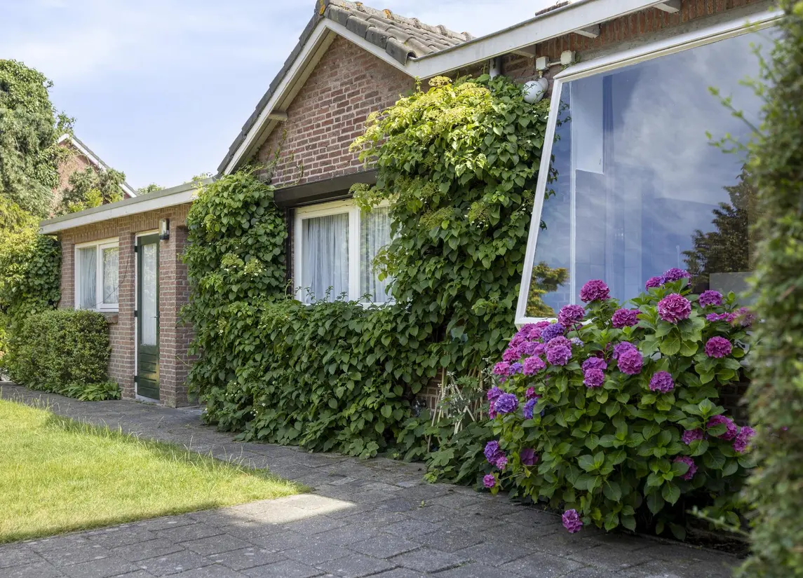Wilhelminastraat 71