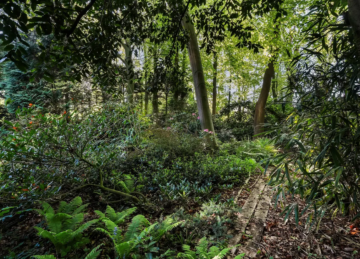 Monsterseweg 15A