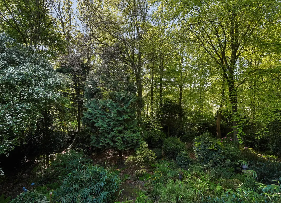 Monsterseweg 15A