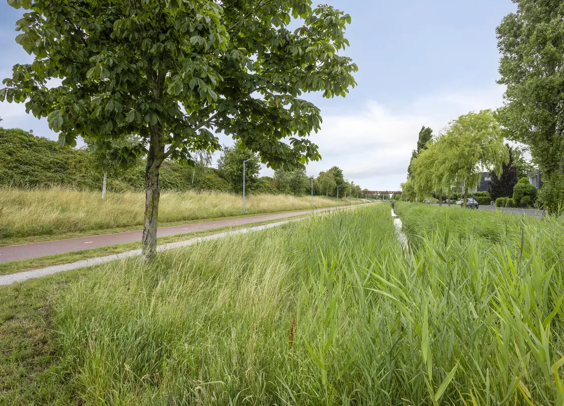 Goudplaat 57