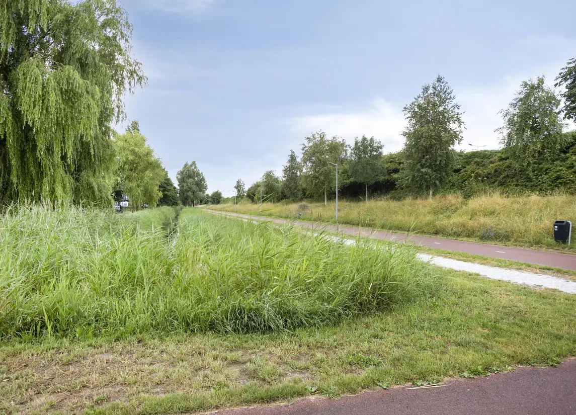 Goudplaat 57
