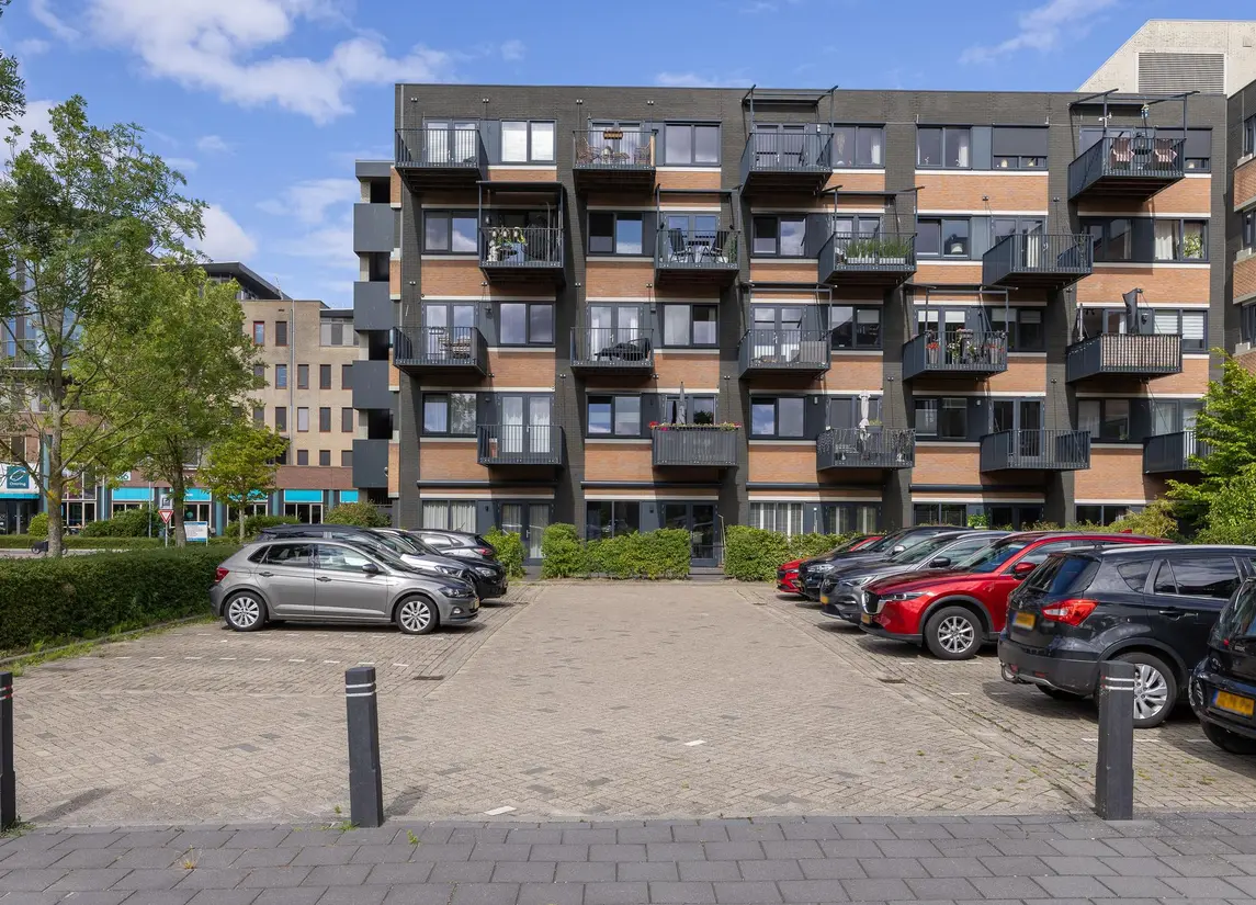 Zandsteen 97