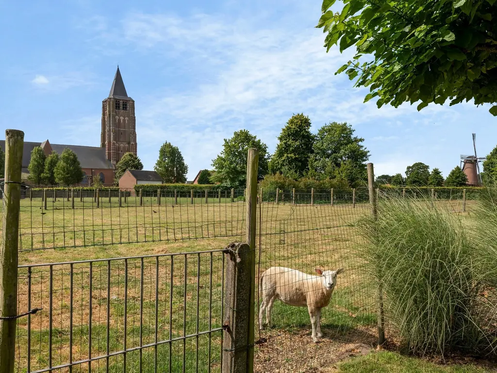 Koning Albertstraat 181  , Ravels