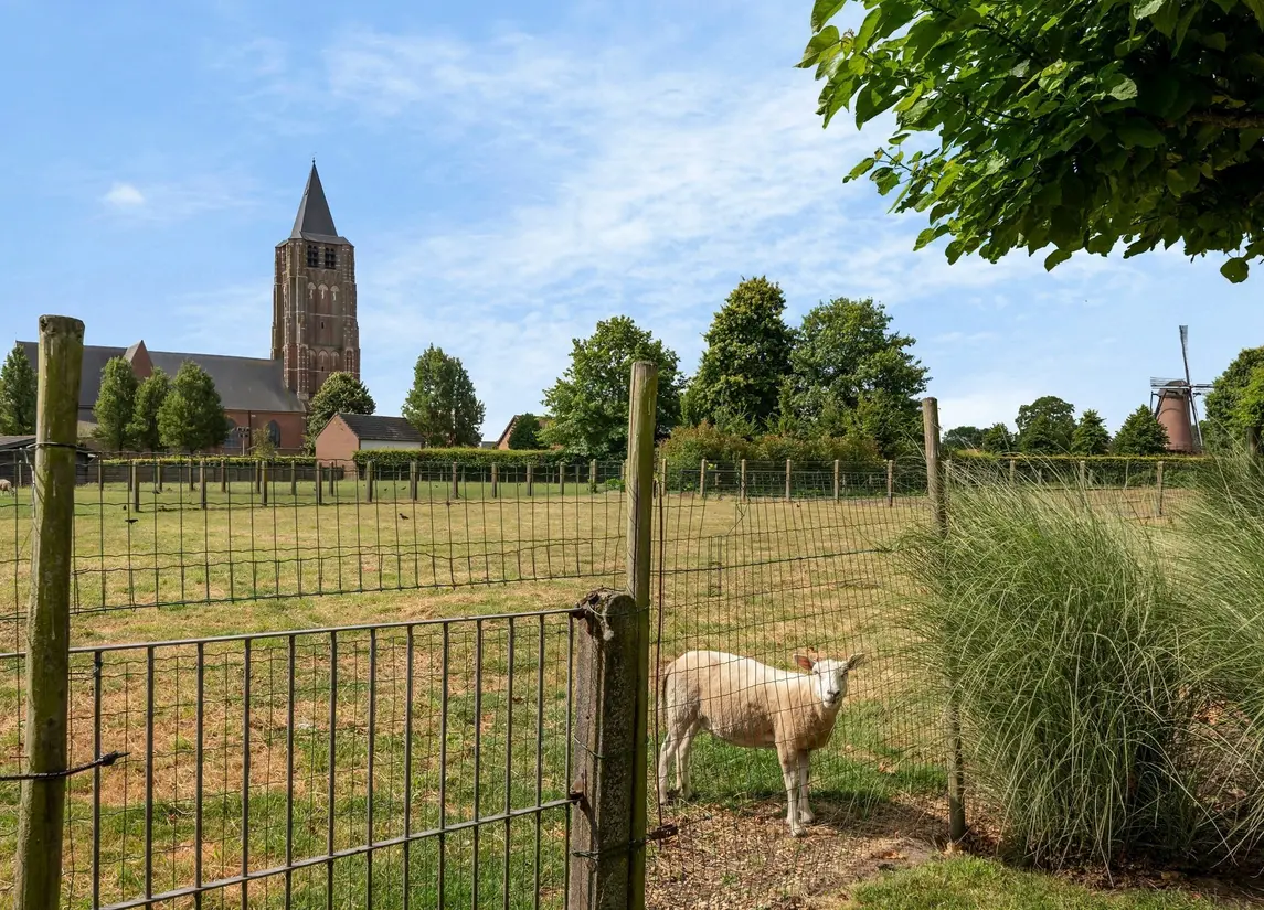 Koning Albertstraat 181  