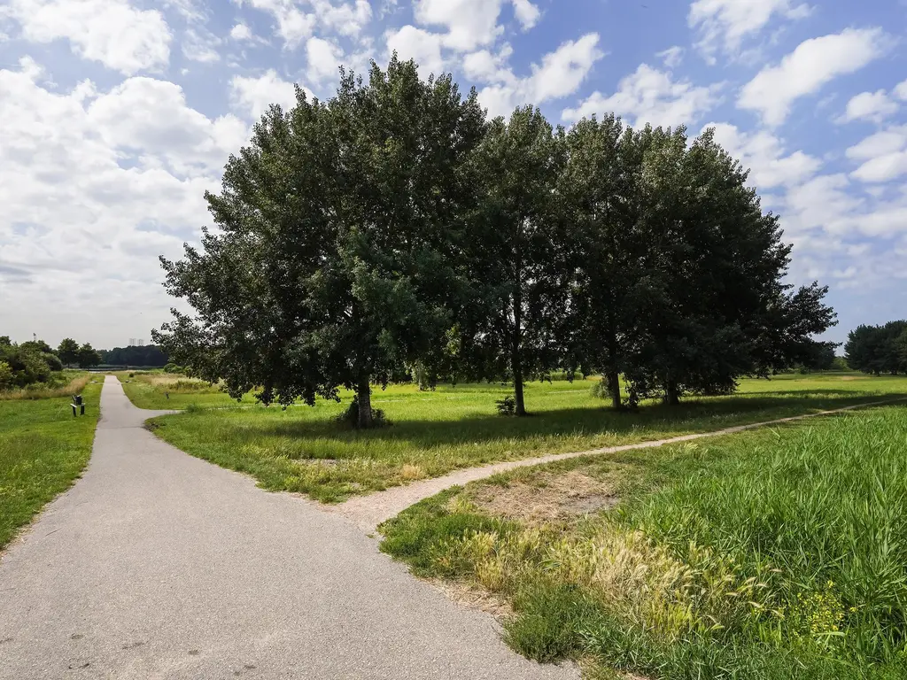 Jan Steenstraat 80, MAASSLUIS