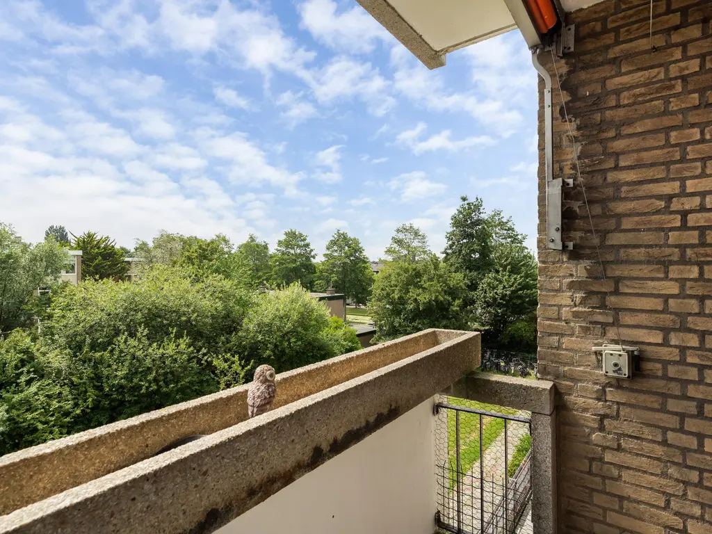 Abeelweg 126, ROTTERDAM