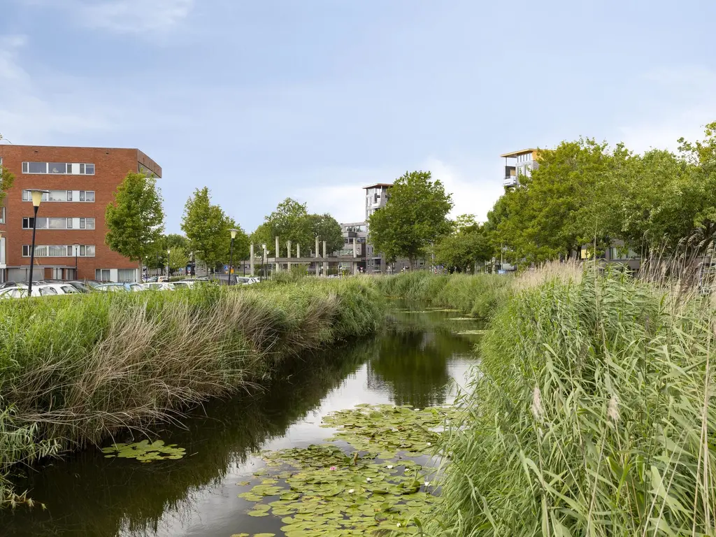 Zuidersingel 8, BARENDRECHT