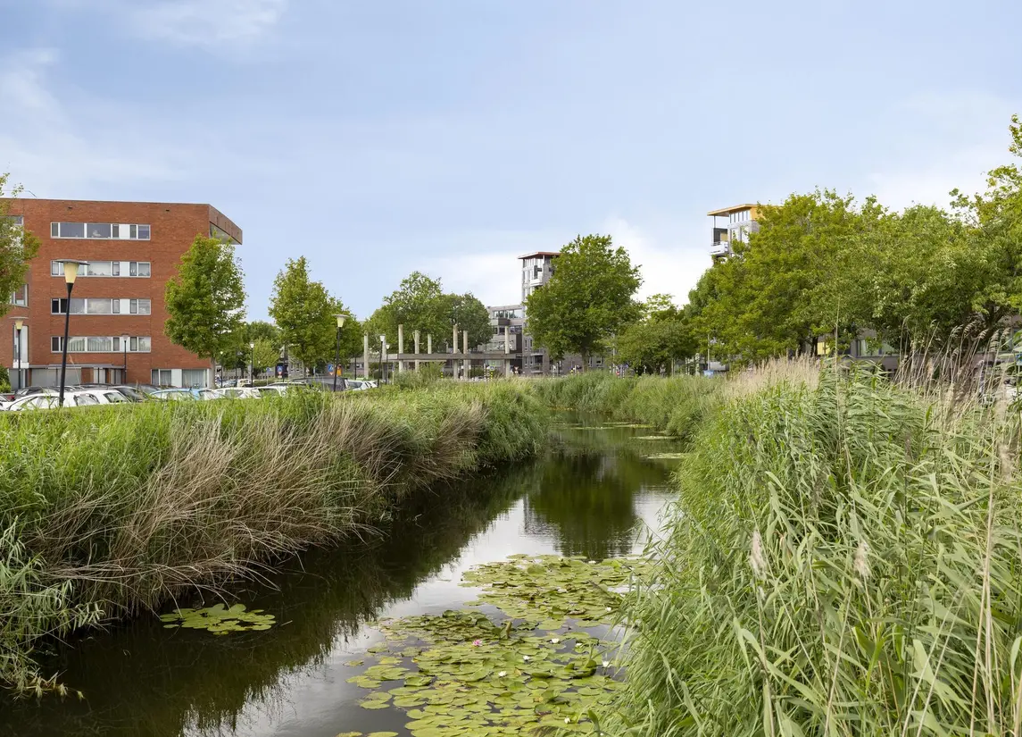 Zuidersingel 8