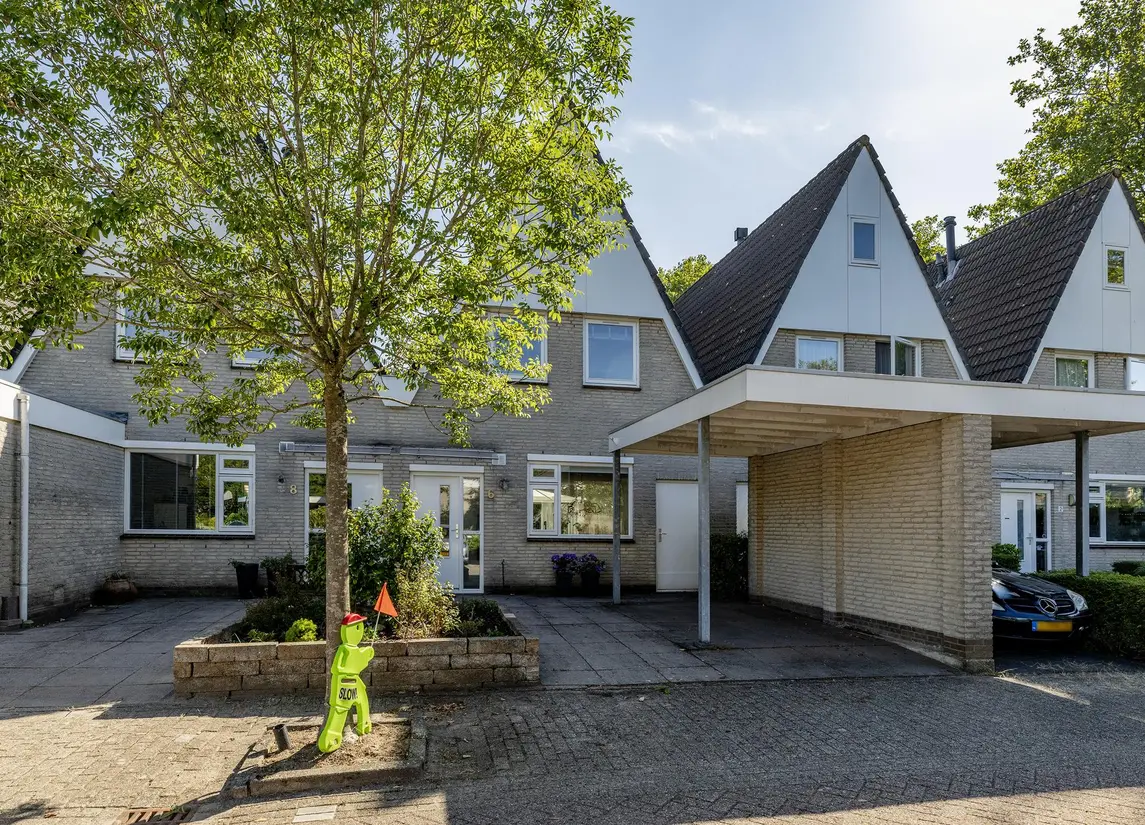 Zaagmolen 6
