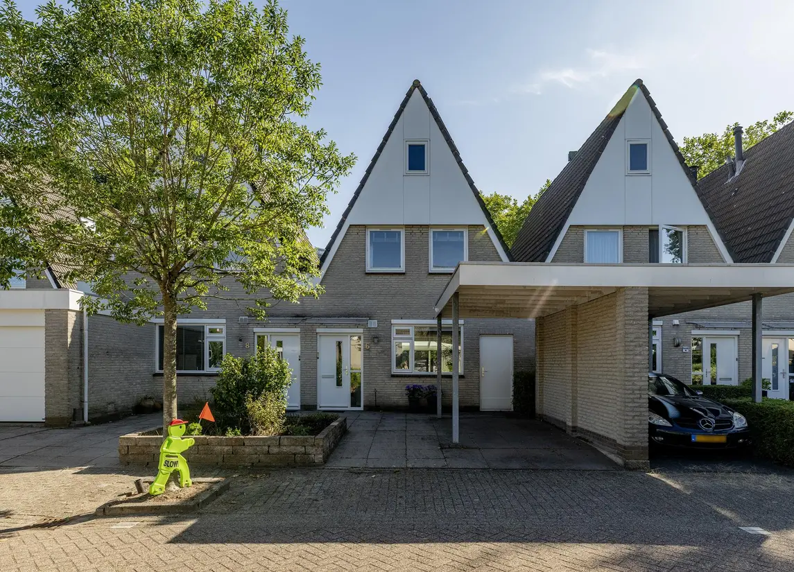 Zaagmolen 6