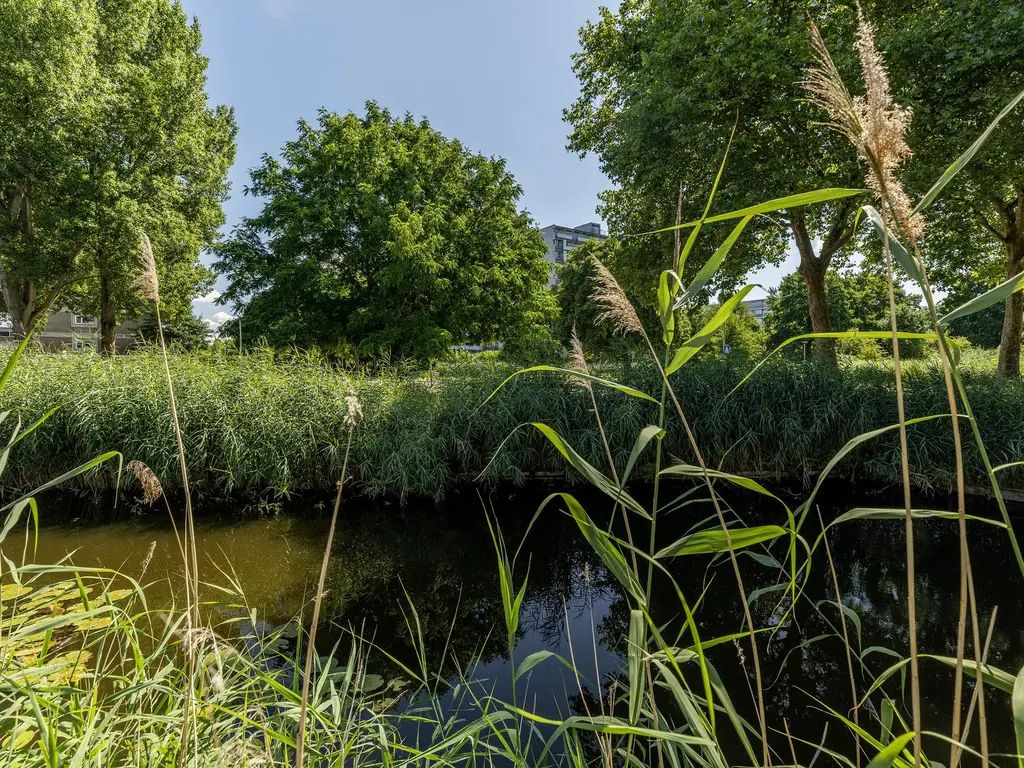 Zaagmolen 6, CAPELLE AAN DEN IJSSEL