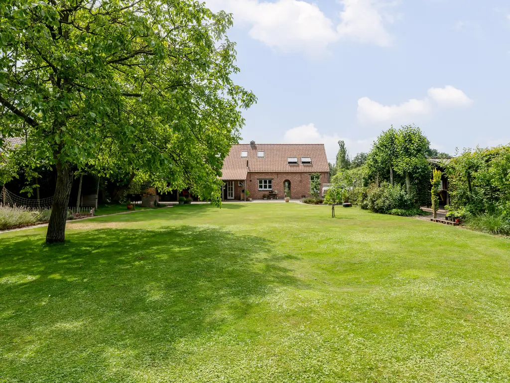 Lage Rooy 29  , Hoogstraten