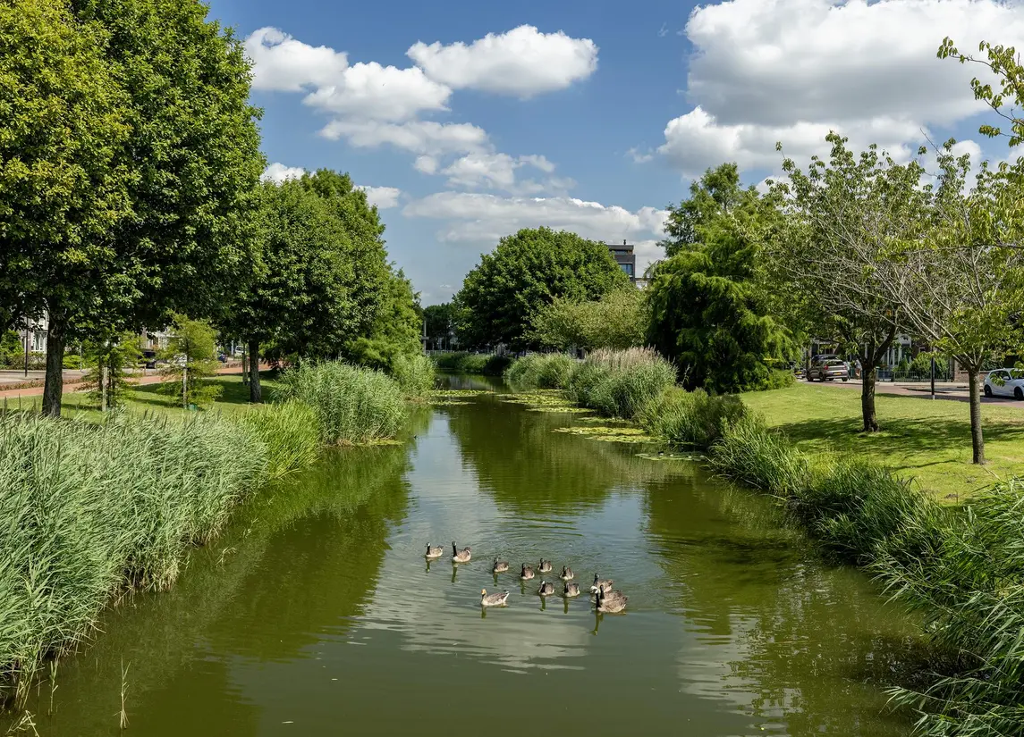 Meerwedesingel 15