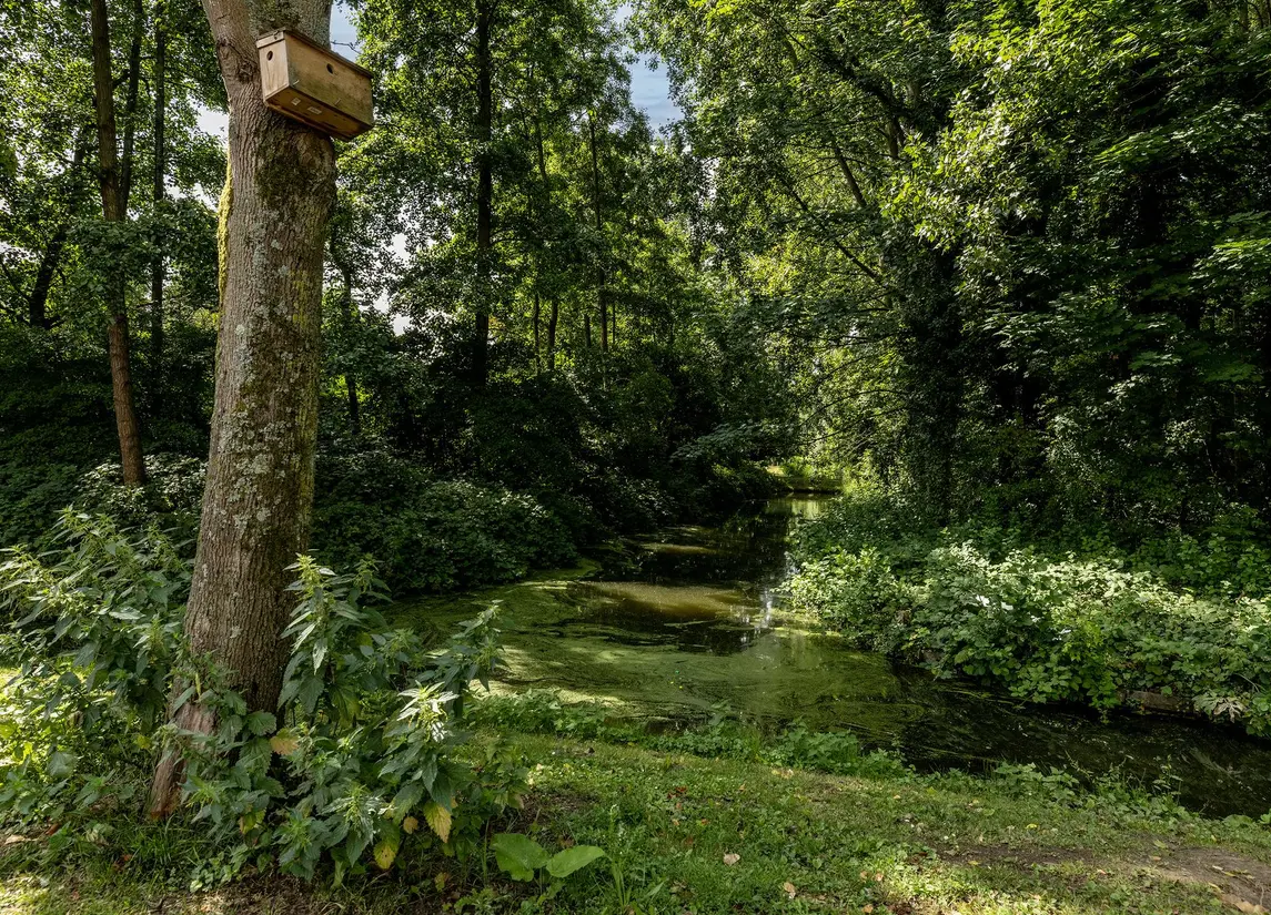 Vosbergendam 13