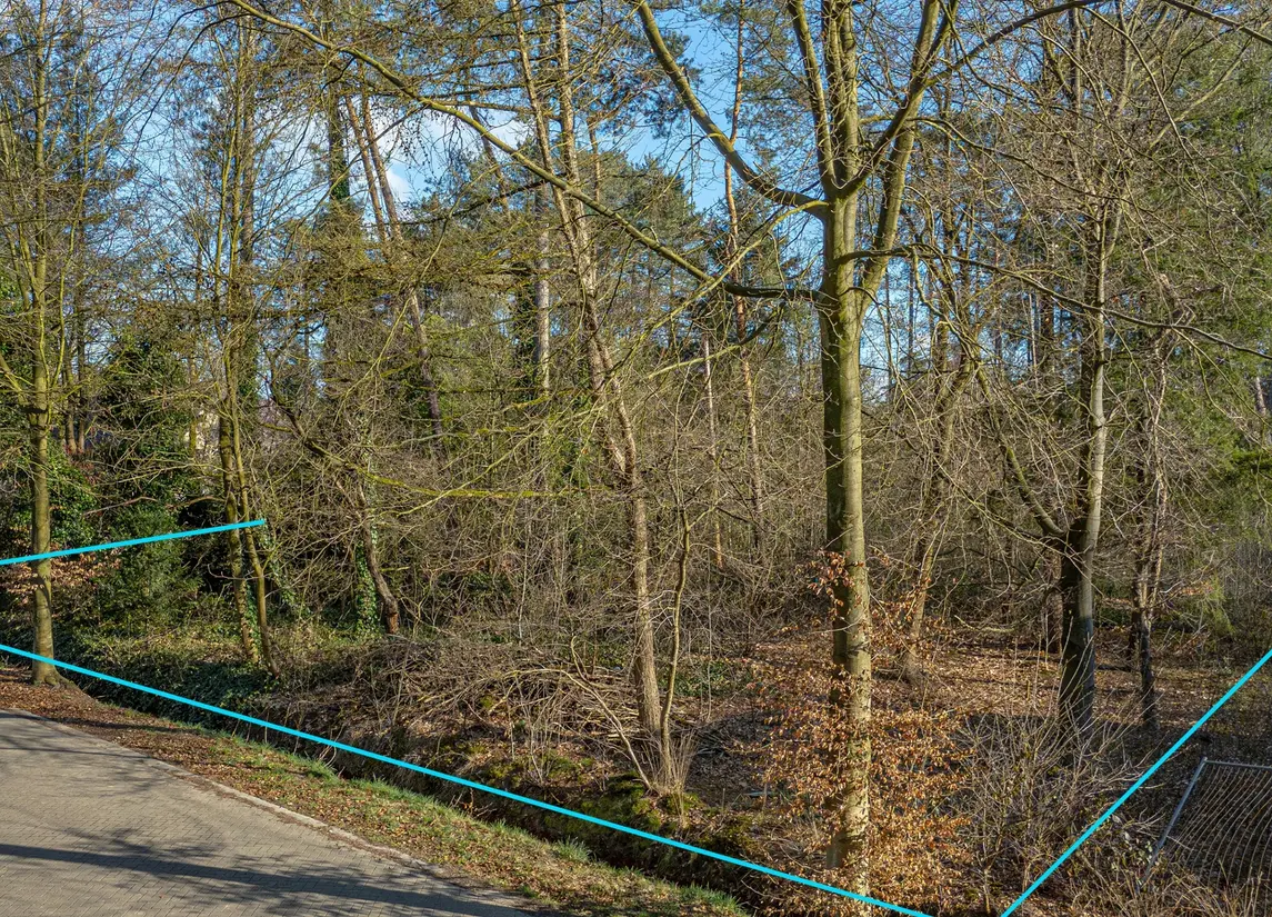 Beukenlaan 7  