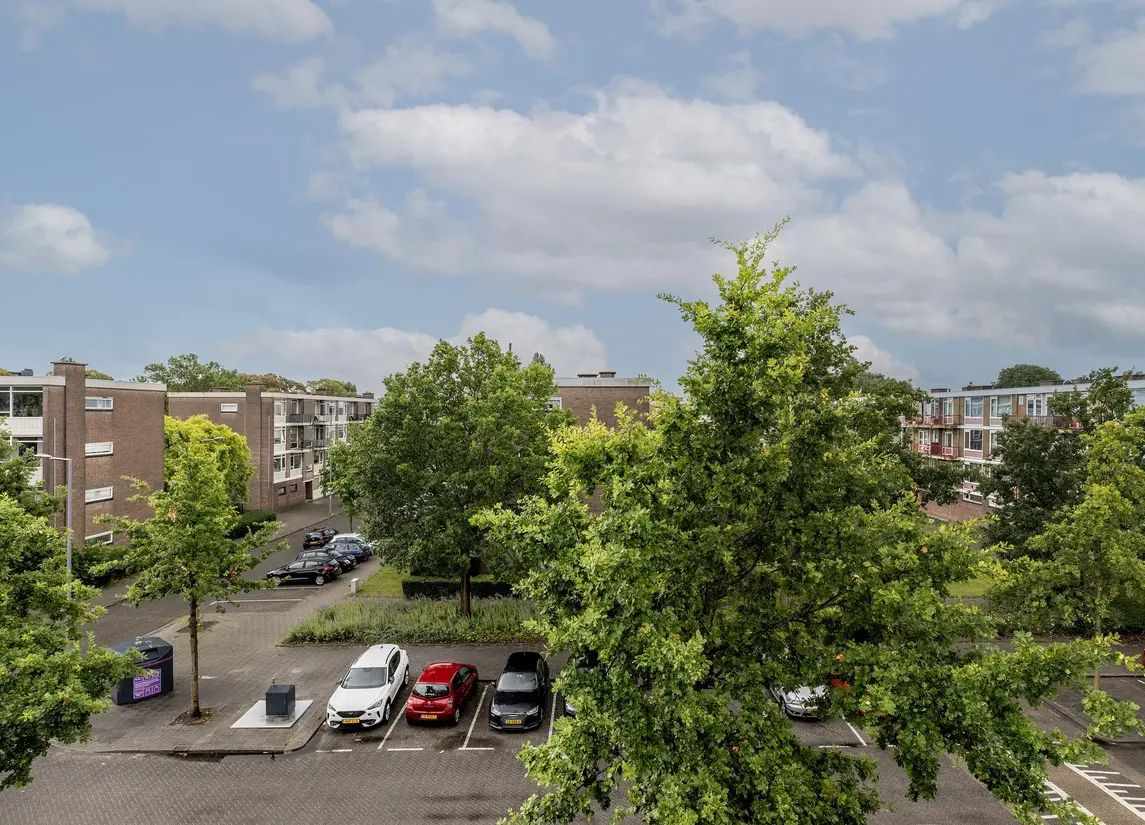 Schoonegge 61