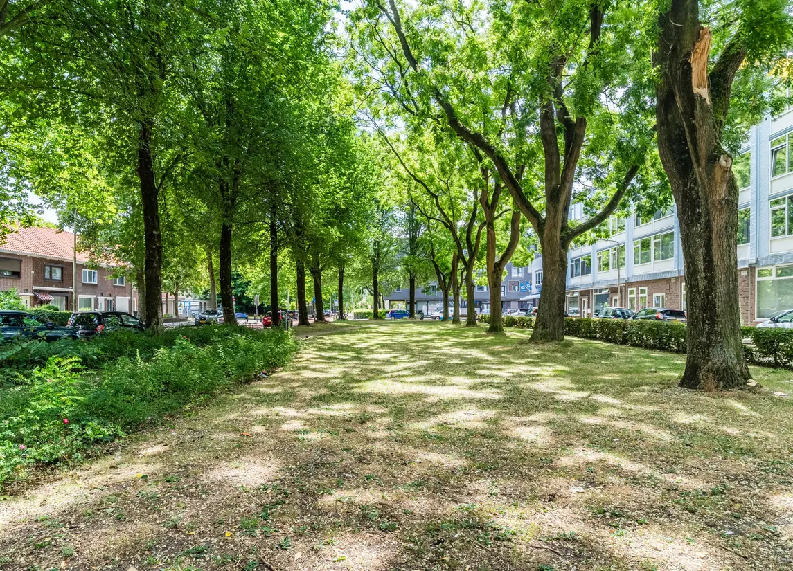 Trouwlaan 251